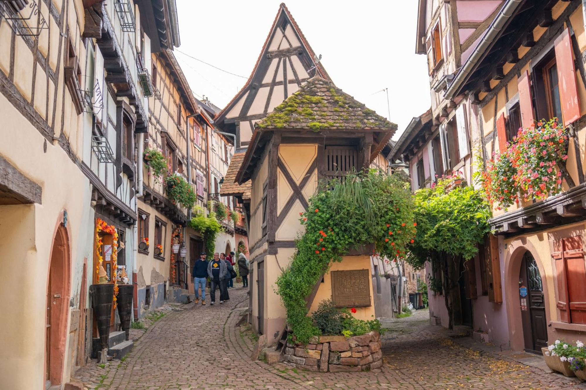 Chambre Rose Des Vents Eguisheim Ngoại thất bức ảnh
